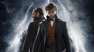 Les Animaux fantastiques 2 Les Crimes de Grindelwald