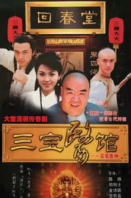 俠膽醫神 (2004)
