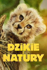Plakat — Dzikie z natury