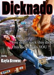 Poster Dicknado 2017