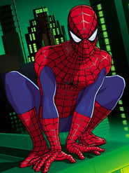 Spider-Man: The New Animated Series poster