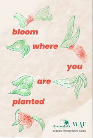 Bloom Where You Are Planted