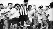 Garrincha: Joy of the People en streaming