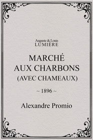 Marché aux charbons (avec chameaux)