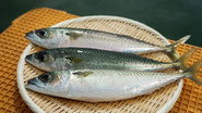 SABA