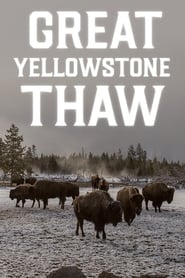 Great Yellowstone Thaw постер