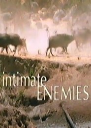 Intimate Enemies (2000)