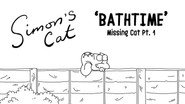Missing Cat (1): Bathtime