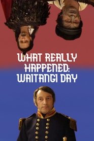 Waitangi Day: What Really Happened (2011)