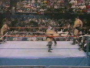 October 29, 1988 - Superstars of Wrestling 113