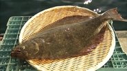 Hirame