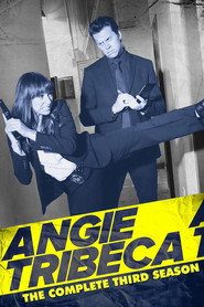 Angie Tribeca Season 3 3