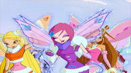 Bloom's Trial