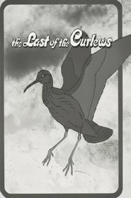 The Last of the Curlews (1972)