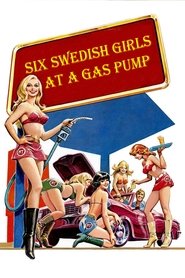Poster Six Swedish Girls at a Pump 1980