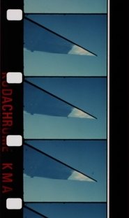 Poster Mansfield K. 1988