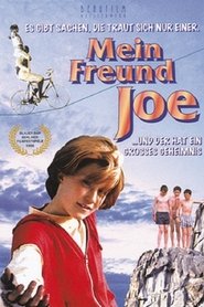 Mein Freund Joe 1996
