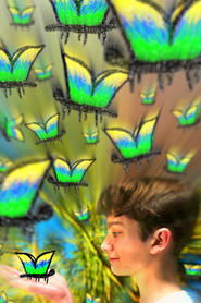 My Fascination With The Butterfly Effect 2025 Бесплатан неограничен приступ