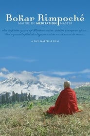 Poster Bokar Rimpoche: Meditation Master
