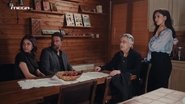 Episode 133