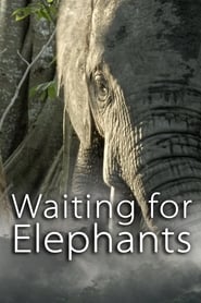 Image de Waiting for Elephants
