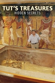 Tut's Treasures: Hidden Secrets постер