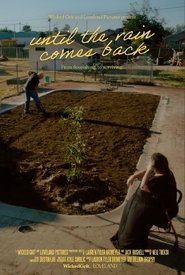 Until the Rain Comes Back