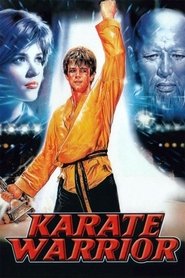 Karate harcos poszter