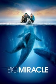 Poster Big Miracle 2012