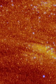 La plante dansante de désastres