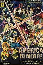 Poster America di notte