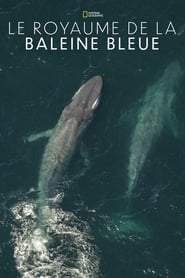 Le royaume de la baleine bleue streaming