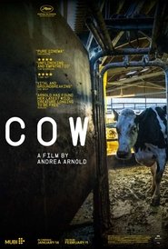 Cow Cow