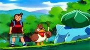 Pokémon 1x49