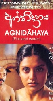 Poster Fire & Water 2002