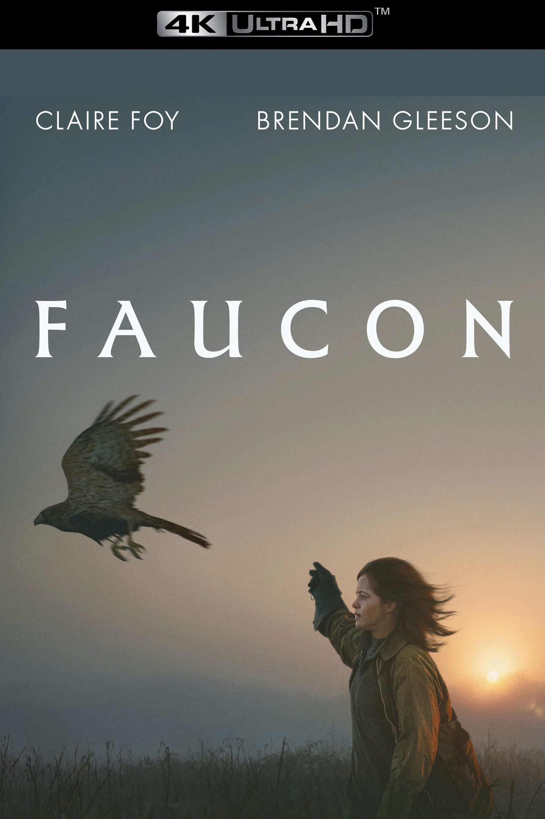 فيلم H Is for Hawk 2025 مترجم