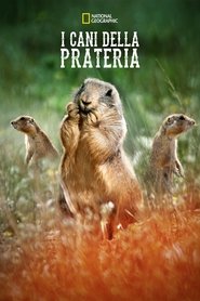 I Cani Della Prateria