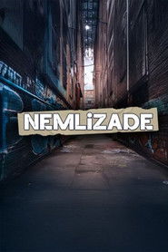 Nemlizade