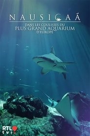 Nausicaá : Dans les coulisses du plus grand aquarium d