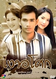 เงาอโศก