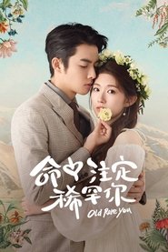 命中注定稀罕你