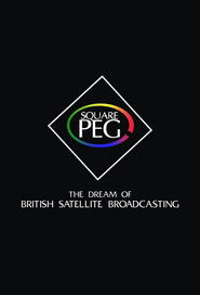 Square Peg: the Dream of British Satellite Broadcasting