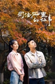 司法所里的故事