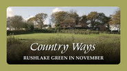 Rushlake Green in November
