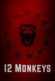 12 мавп постер