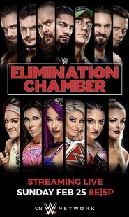 WWE Elimination Chamber 2018