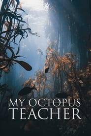 Poster My Octopus Teacher 2020