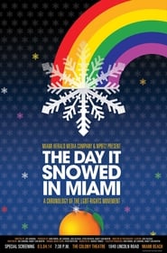 Poster The Day it Snowed in Miami