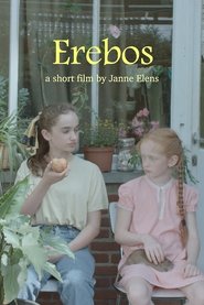 Erebos (2017)