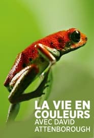 Les couleurs de la nature s01 e01